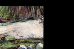 Cader-Idris-Rocks-crop-with-small-rocks-enlarged-1