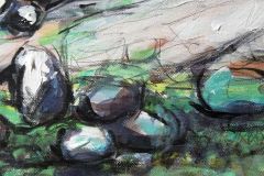 Foreground-rocks-Cader-Idris-resized-and-colour-adjusted