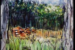 ks-image-central-section-meadow-enlarged