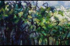 ks-image-hedge-from-meadow-cropped-enlarged