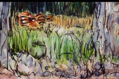 ks-image-meadow-cropped-tiles-enlarged