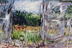 ks-image-of-meadow-resized