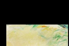 original-yellow-garden-foreground-area-ks-image