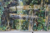 Detail sketch: 'Fence',oil pastel and pencil
