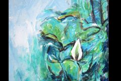 resized-stillwater-lily