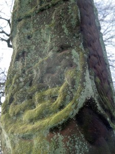 Gosforth cross close-up 8