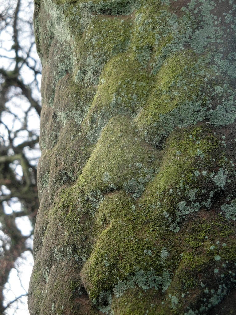 Gosforth cross close-up 9