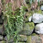 Hebden Bridge stones