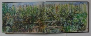 soft pencil, watecolour and oil pastel sketch