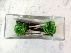 brussels green roses