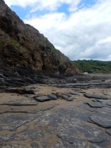 cliff runswick bay