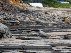 horizontal slabs runswick bay