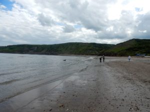 people and dog runswick bay