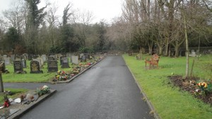 trees and bench at the graveyard